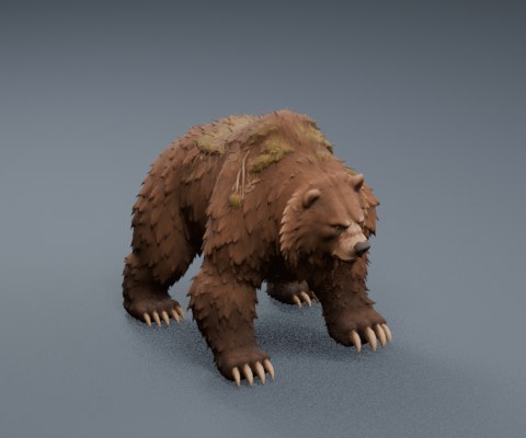 Bear