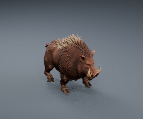 Boar