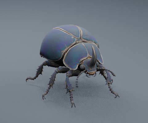 Desert Beetle