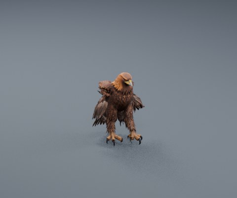 Eagle
