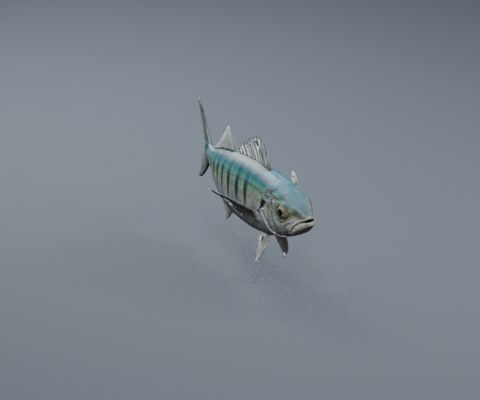 Fish