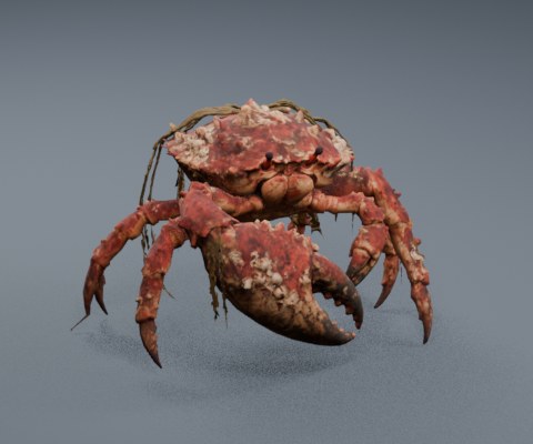 Giant Crab