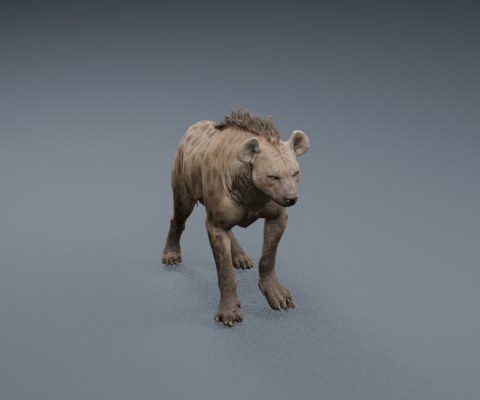 Hyena