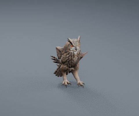 Owl