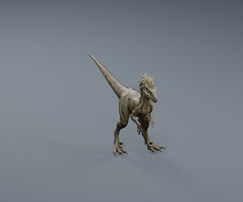 Raptor