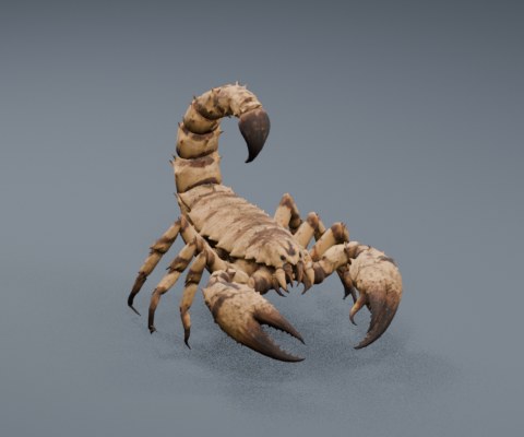 Scorpion
