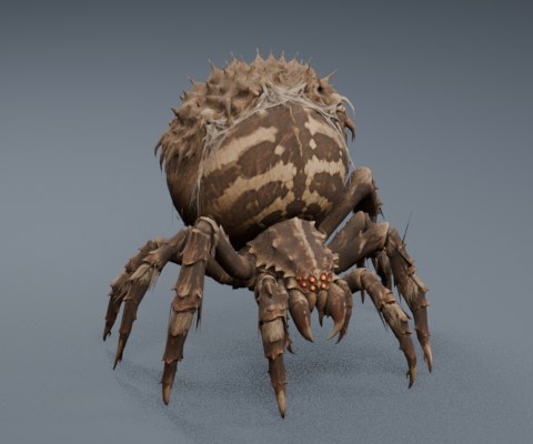 Spider 02
