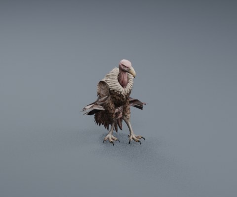 Vulture
